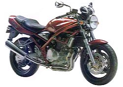 Suzuki Bandit