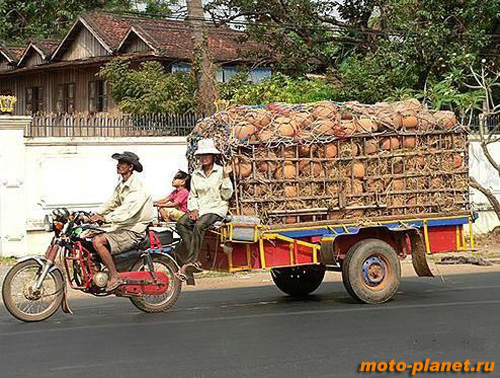 ���� ����