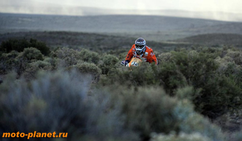 ���� ����